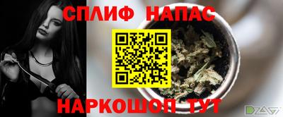 гашик Свободный