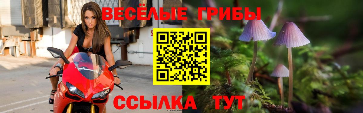 Нарткала  Псилоцибиновые грибы Psilocybine cubensis  где продают   Вход с VPN 